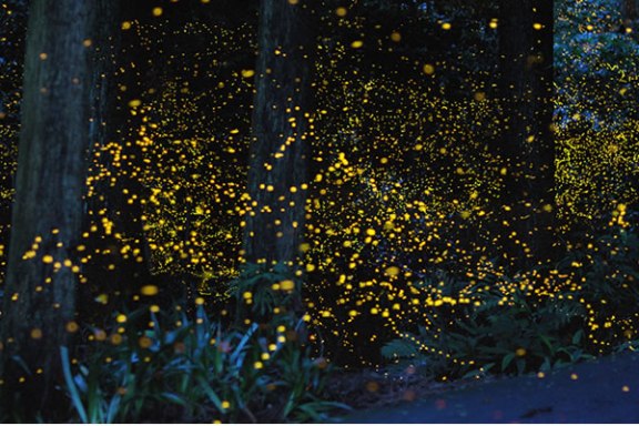 a lit up city at night