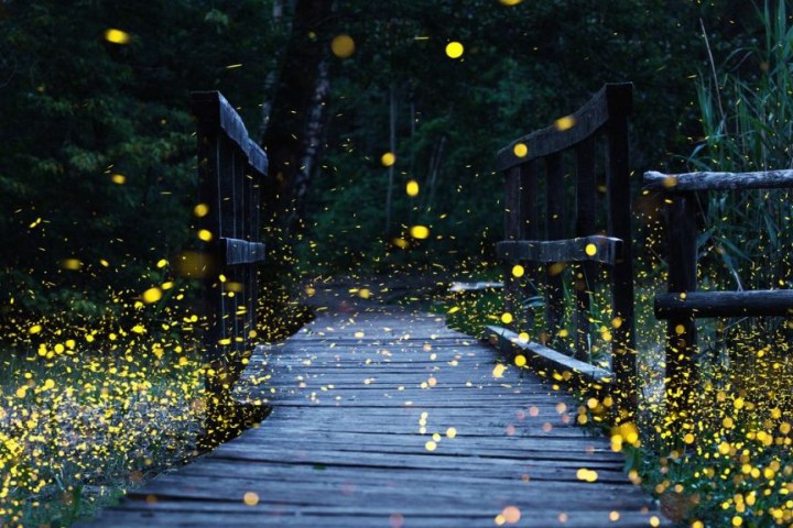 a bench in the rain