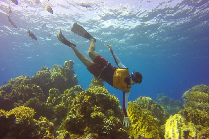 an underwater shot of a man