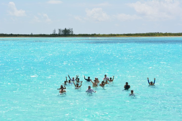 a group of people swimming in a body of water