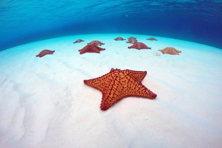 a pool next to a body of water