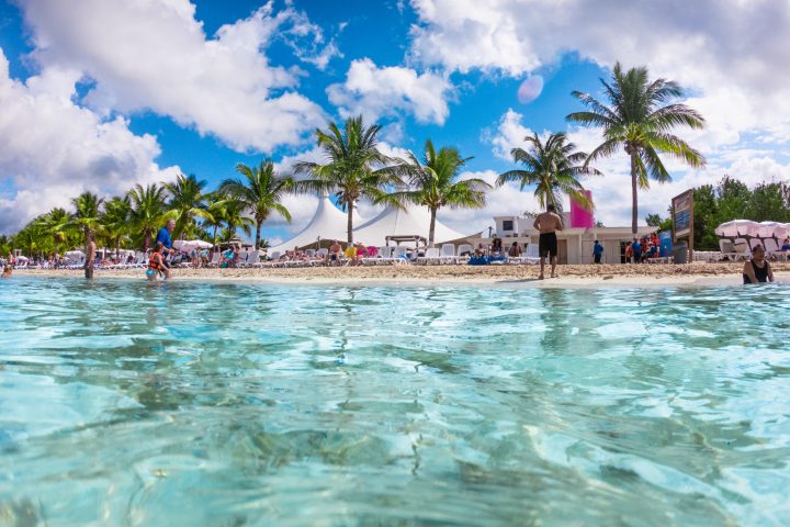 a group of people swimming in a body of water