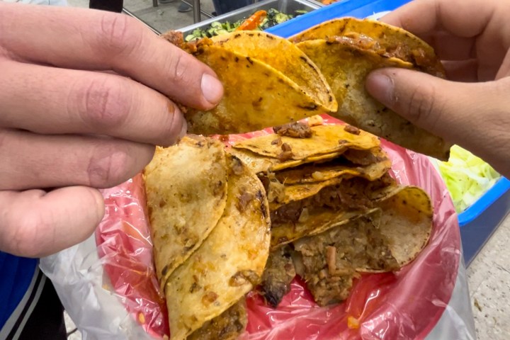 a hand holding a sandwich