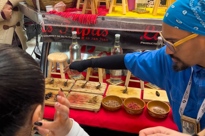 a person holding a birthday cake