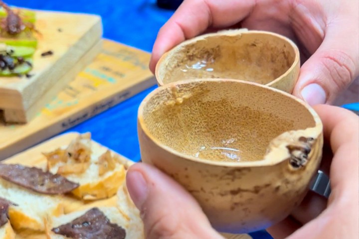 a hand holding a cup of coffee