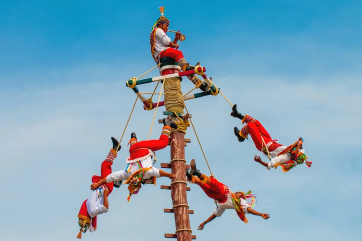 a group of people flying kites in the air