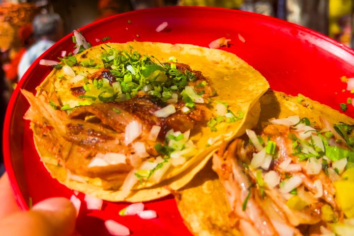 a close up of a plate of food