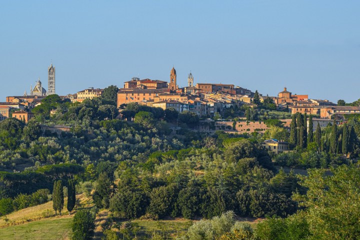 Siena View
