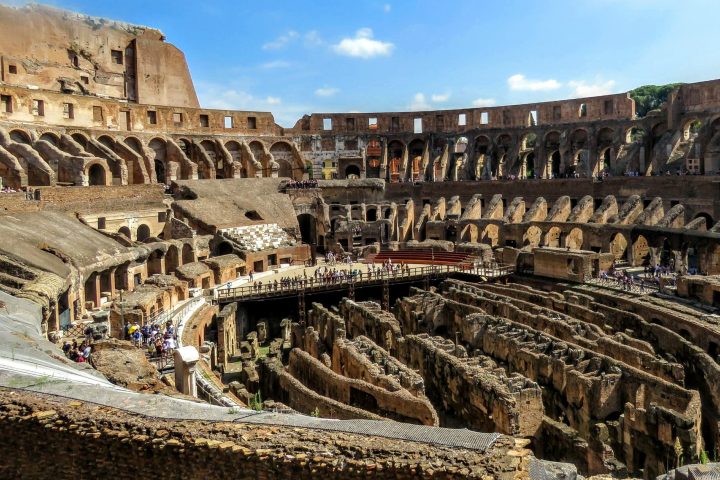a herd of sheep standing on top of Colosseum