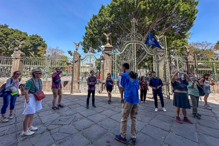 a group of people standing next to a tree