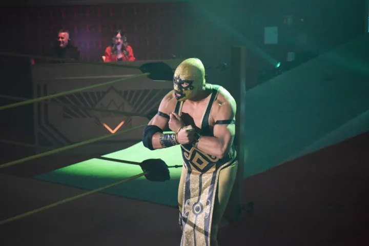 a person wearing a costume