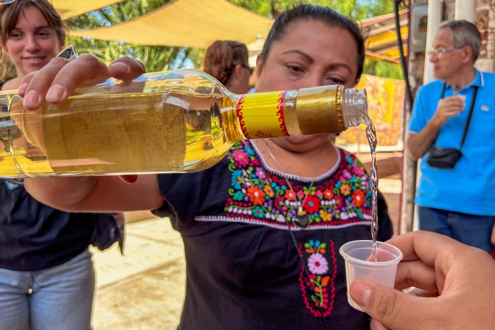 tequila tasting in the teotihuacan tour