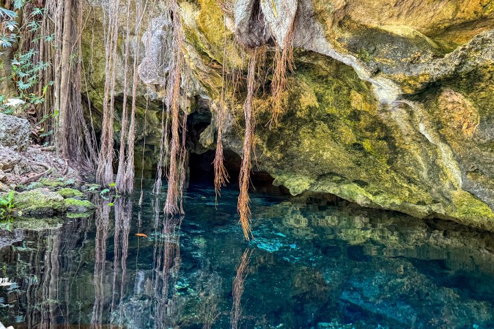 a waterfall in a forest