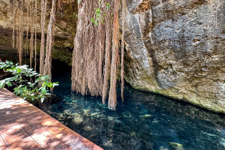 a close up of a brick wall