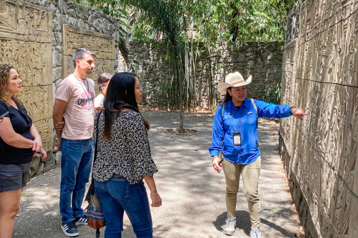 a group of people standing next to a tree