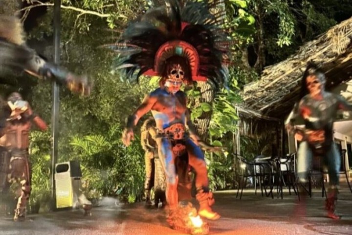 a person wearing a costume