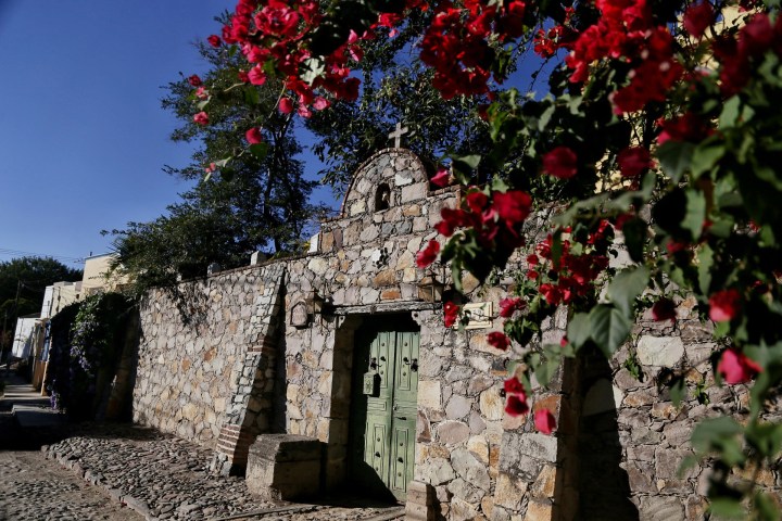 a large tree in a room