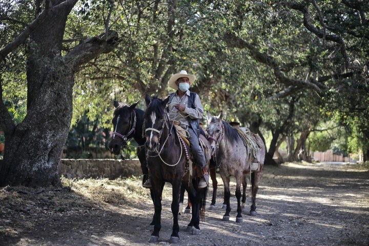 a man riding a horse next to a tree