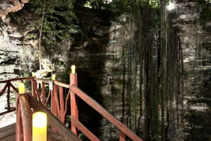a wooden bench sitting next to a forest
