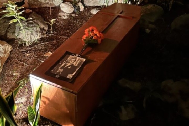 a vase of flowers on a table