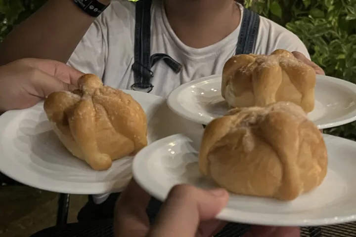 a close up of a person holding a plate of food