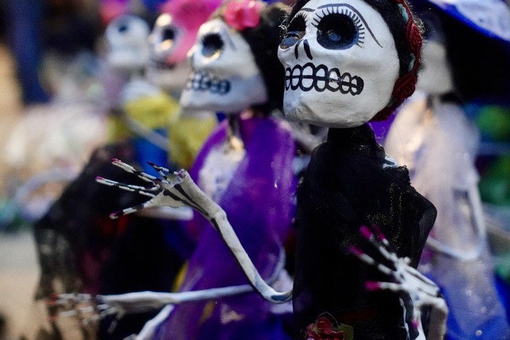 a close up of a stuffed toy on the stage