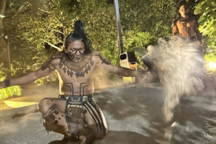 a person holding a dog