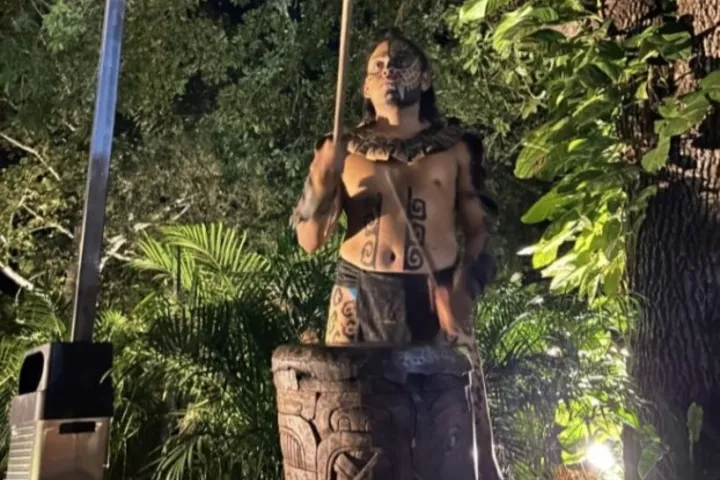 a person standing in front of a tree