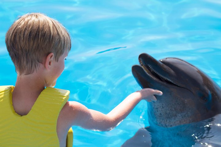 a boy in a pool of water