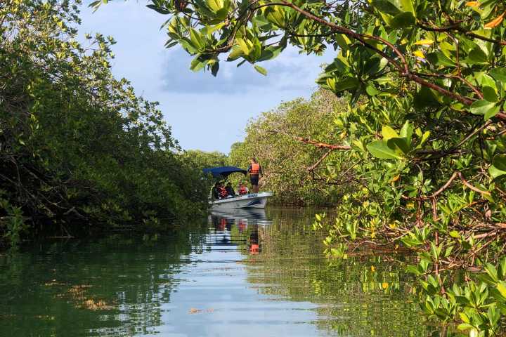 a small boat in a body of water surrounded by trees