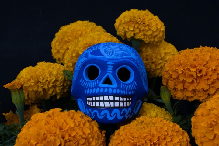 Cancun Day of dead tour