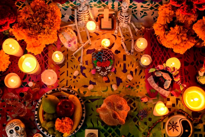 tour day of dead in cancun