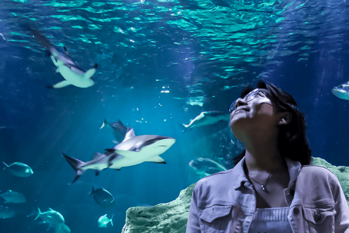 a person swimming in the water