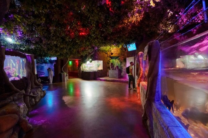 a view of a city street filled with traffic at night