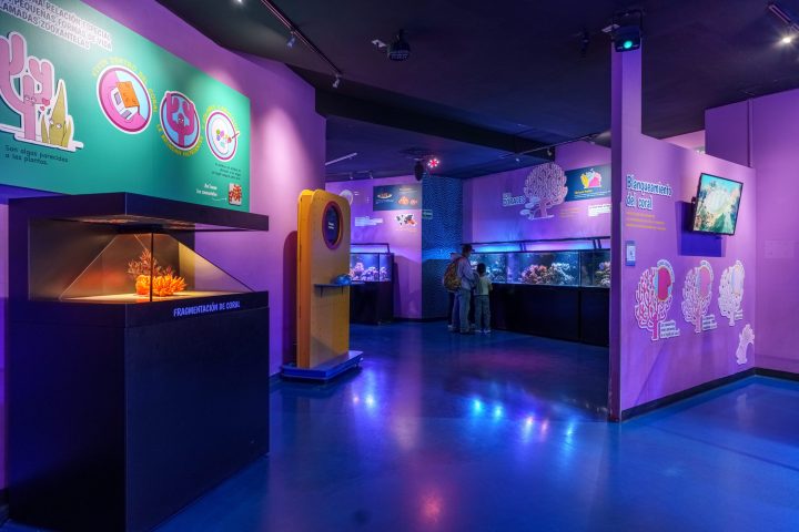 a screen shot of a store