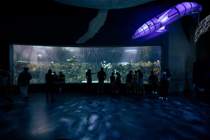 a group of people on a stage