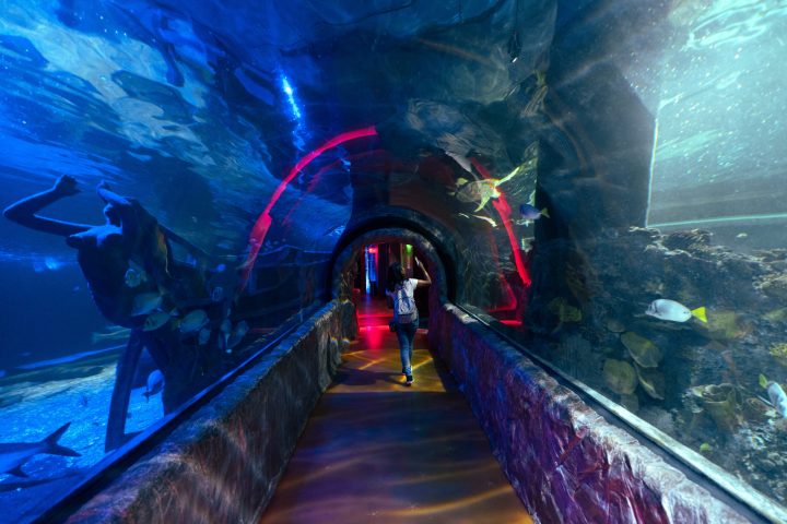 a person in a swimming pool