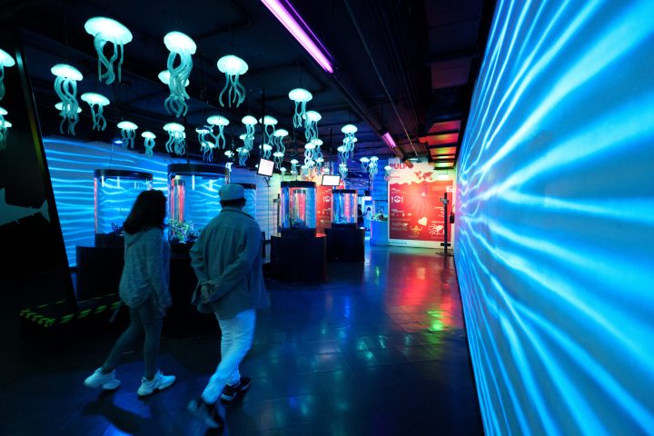 a person standing on a stage