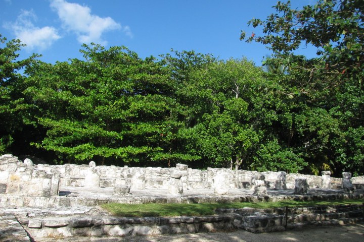 a garden with water in the background