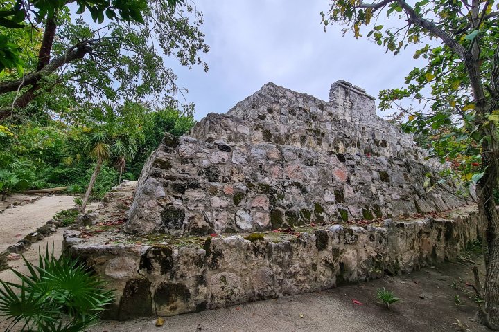 a stone with bushes and trees