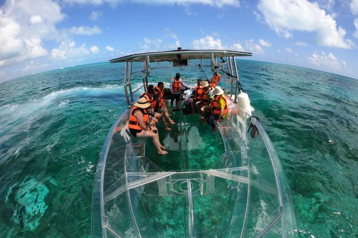 a group of people swimming in a body of water