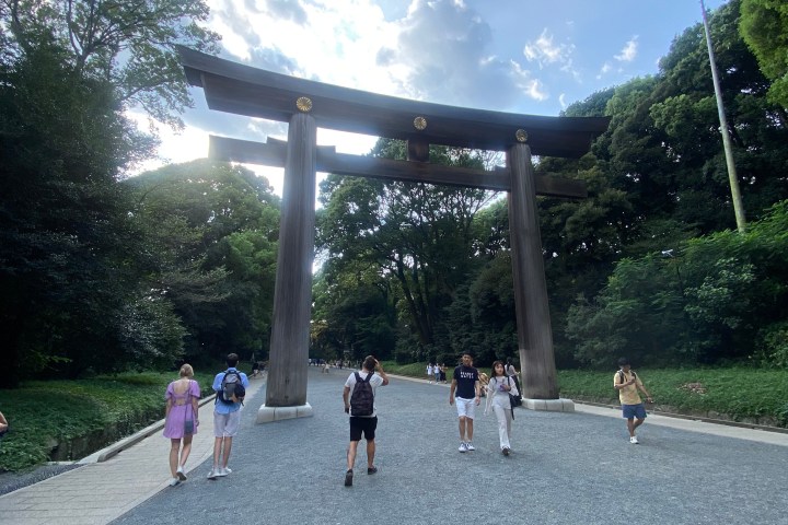 a group of people standing on the side of a road