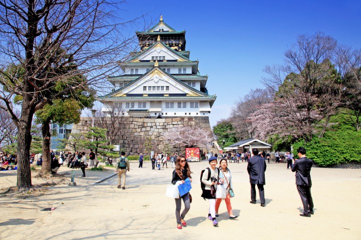 a group of people walking in a park