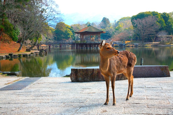 a bench in front of a body of water