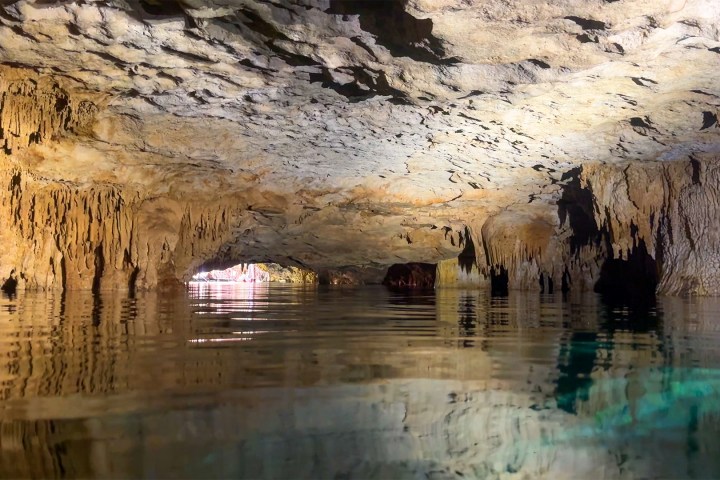 a flock of seagulls standing on a rock next to a body of water