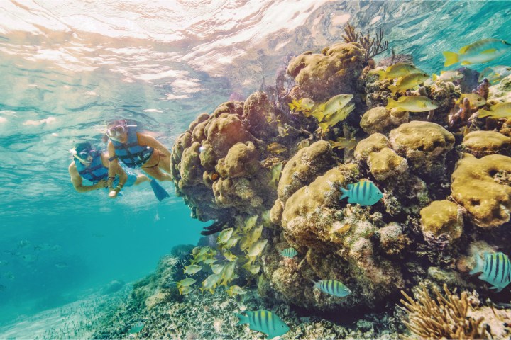 a person swimming in the water