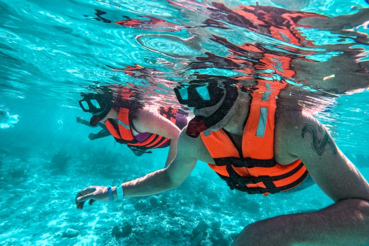 a man swimming in a body of water