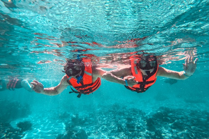 a group of people swimming in a pool of water