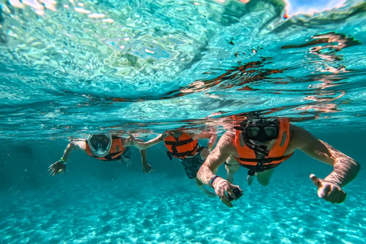 a person swimming in the water
