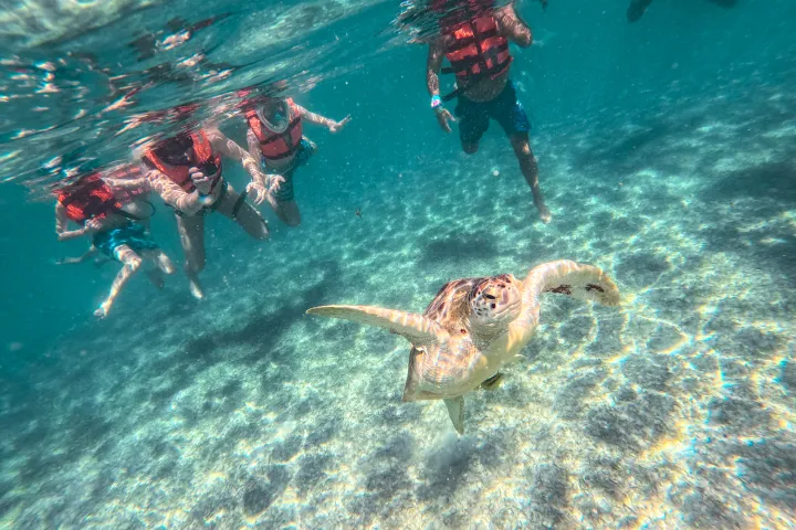 a person swimming in the water